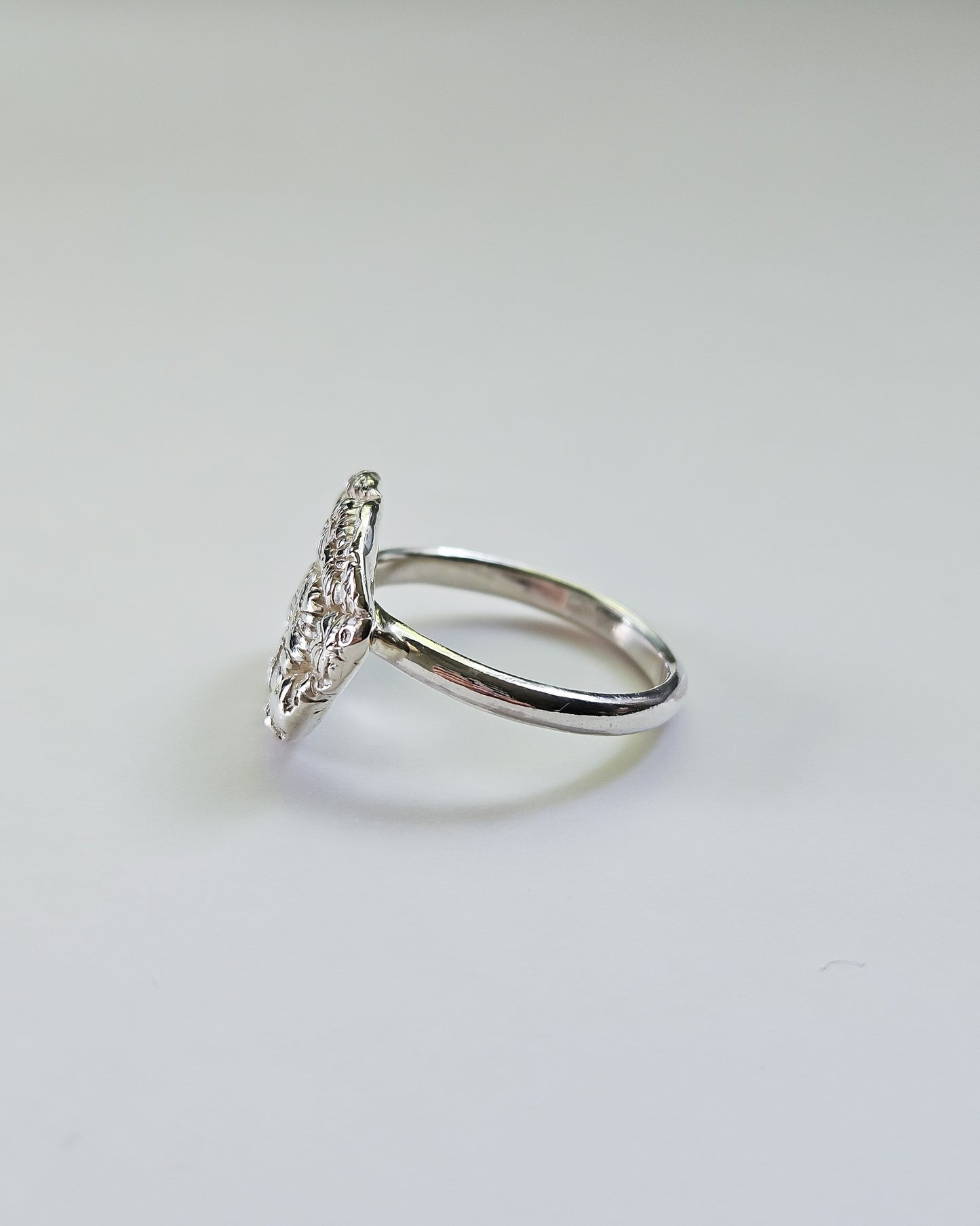 Riak ring