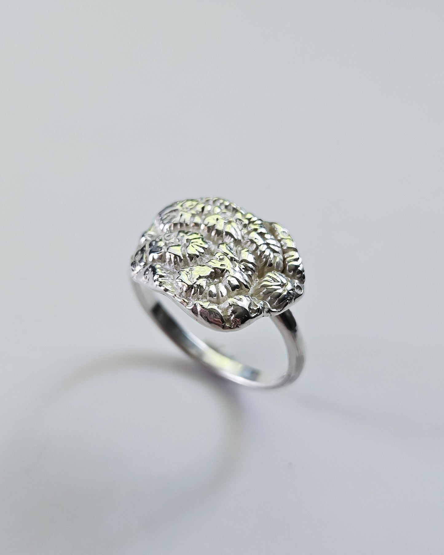 Riak ring