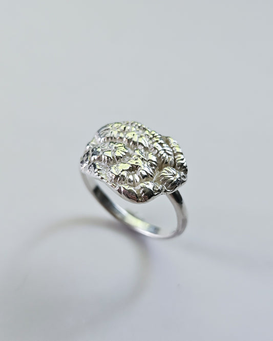 Riak ring