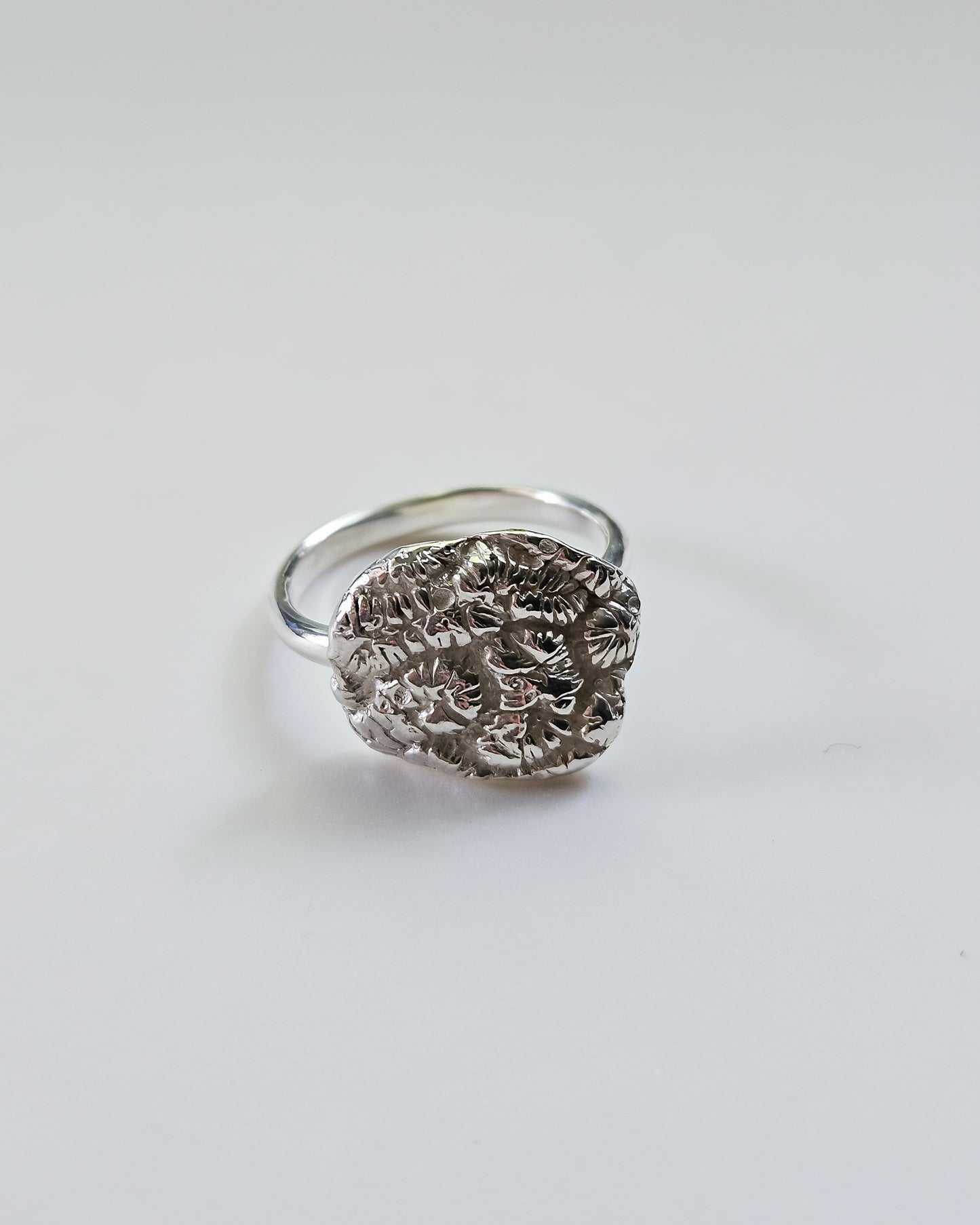 Riak ring