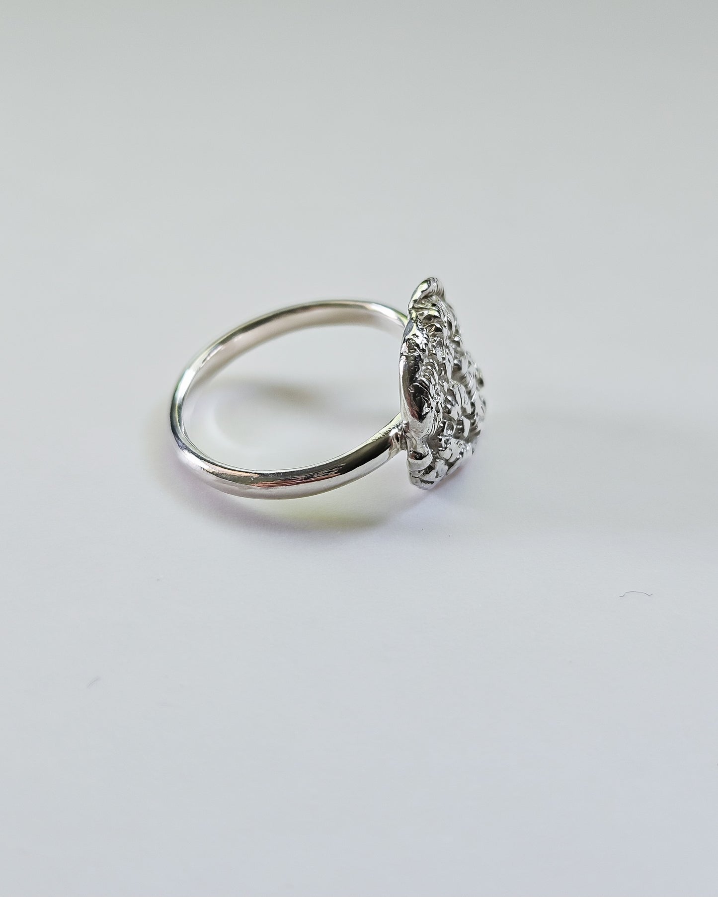 Riak ring