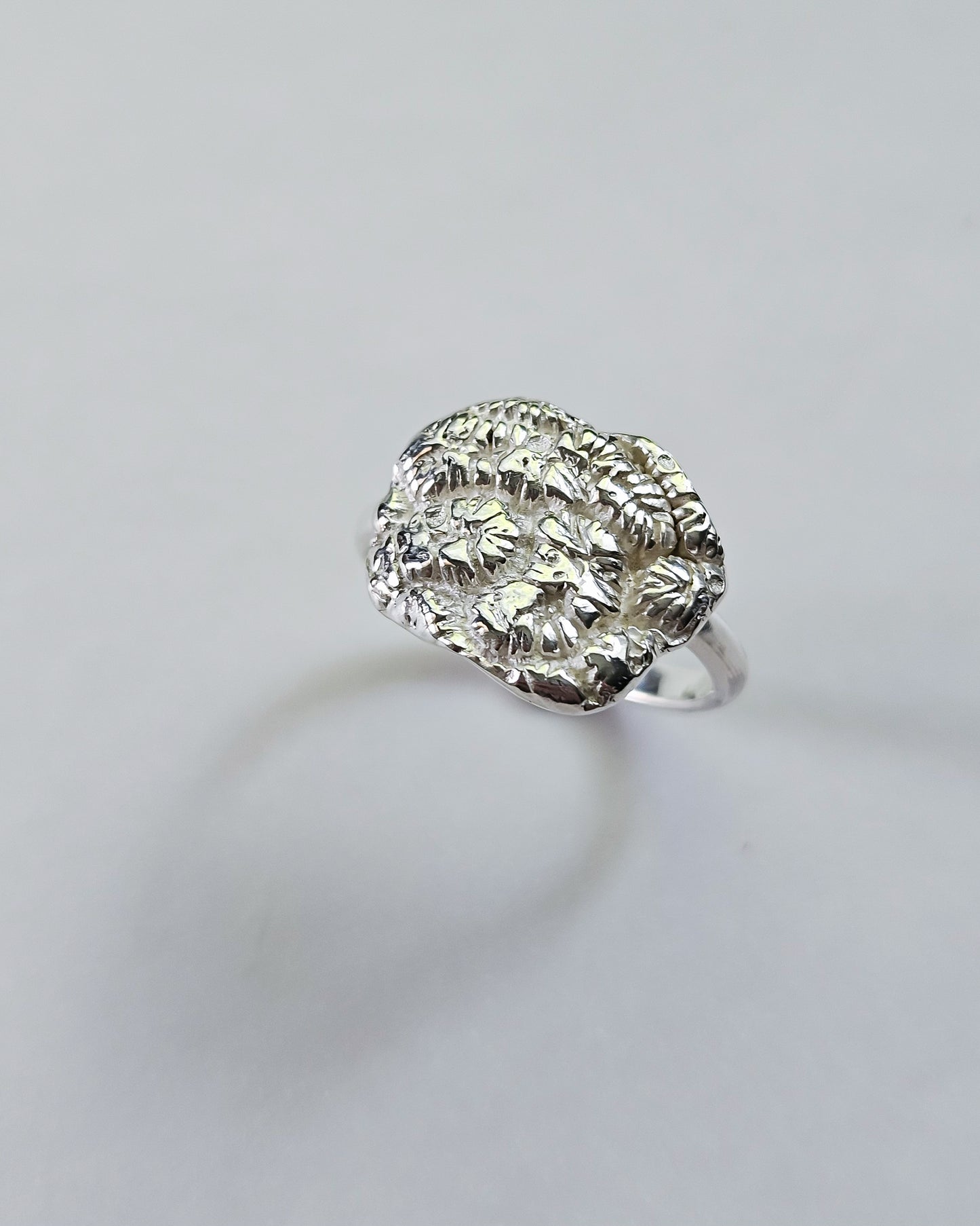 Riak ring