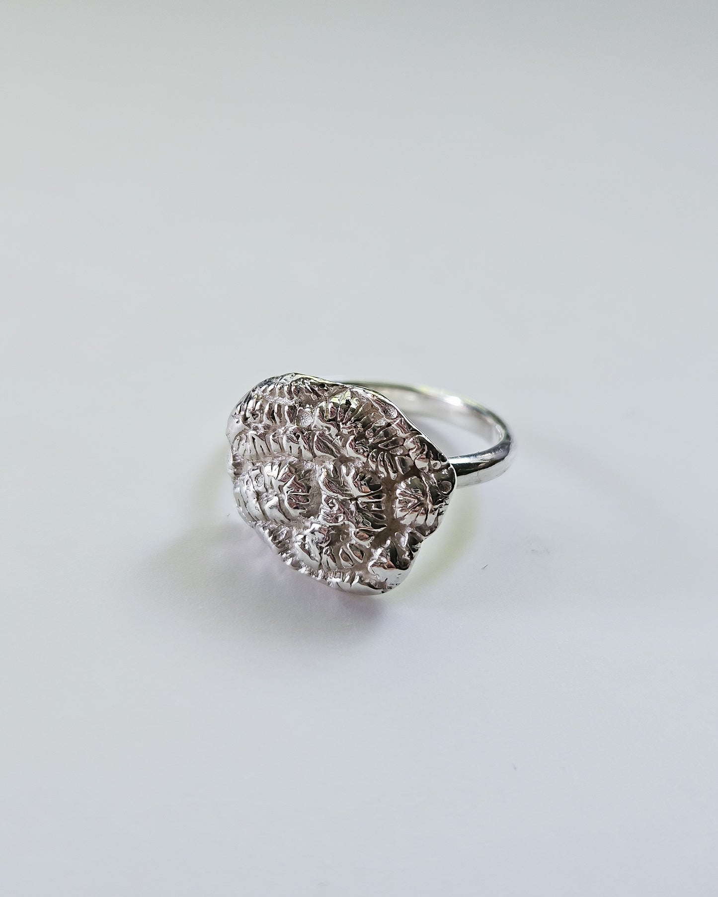 Riak ring